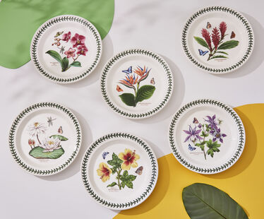 Exotic Botanic Garden Set of 6 Dinner Plates Exotic Botanic Garden Set of 6 Dinner Plates